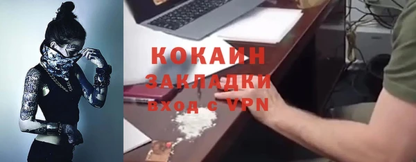 соль ск Алексин