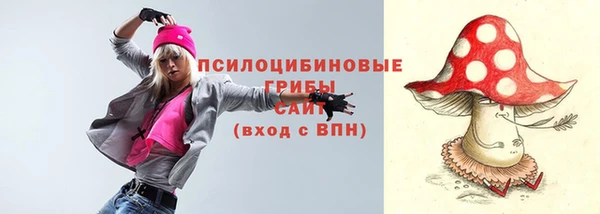 соль ск Алексин