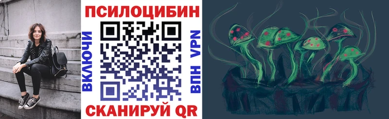 Псилоцибиновые грибы Psilocybe  купить закладку  Геленджик 