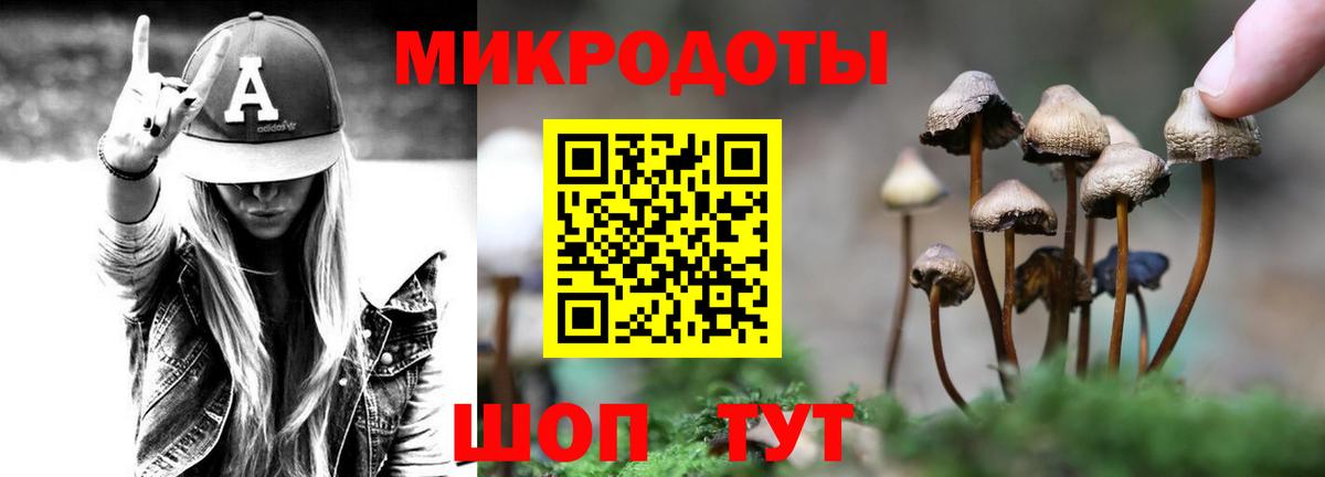 Геленджик  Псилоцибиновые грибы Psilocybine cubensis  Вход с VPN  Галлюциногенные грибы прущие грибы 